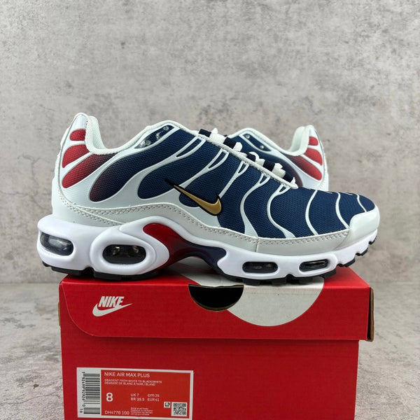Nike Air Max Plus (TN) "USA Gradient"
