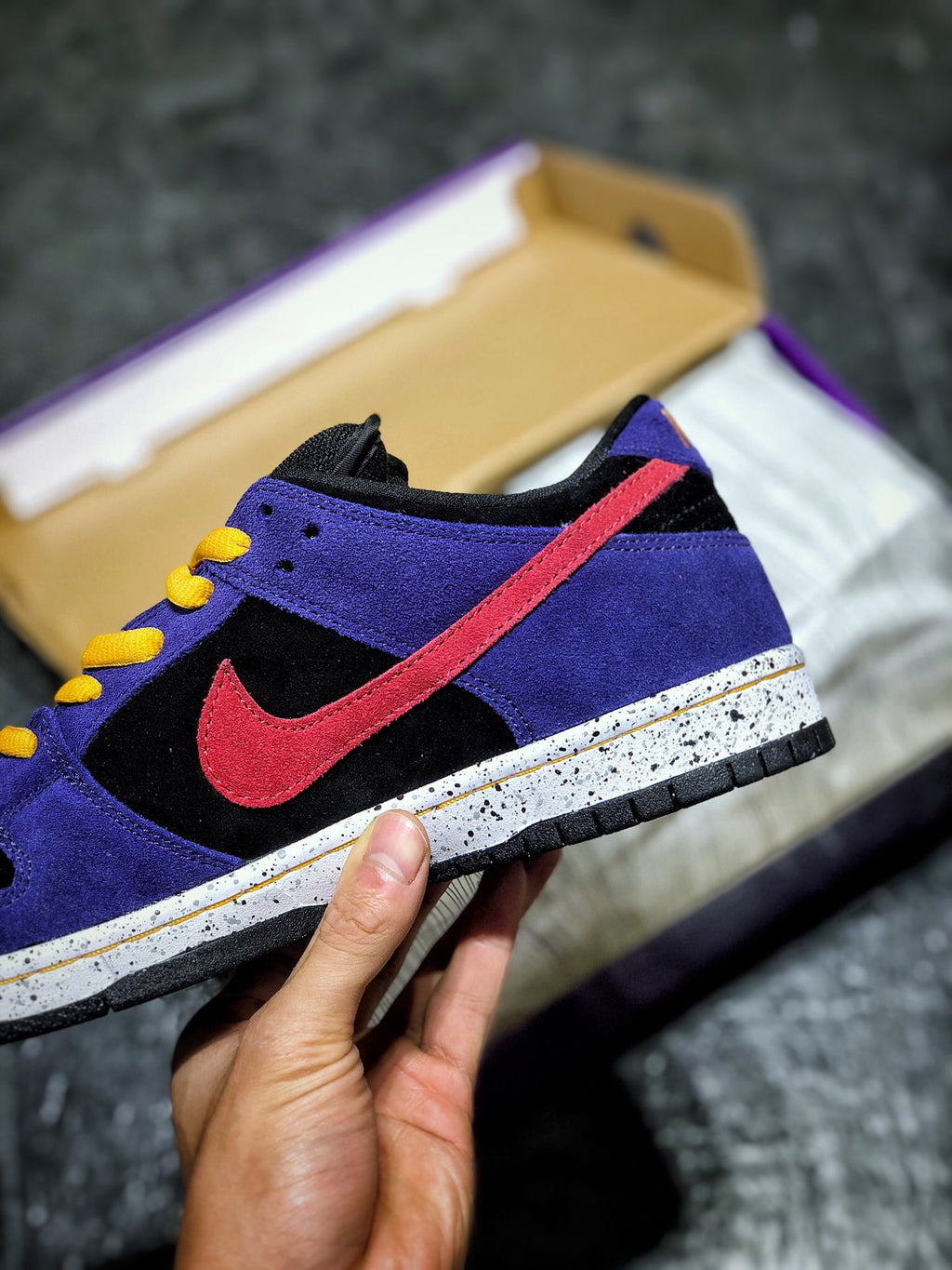 Nike SB Dunk Low ACG Terra