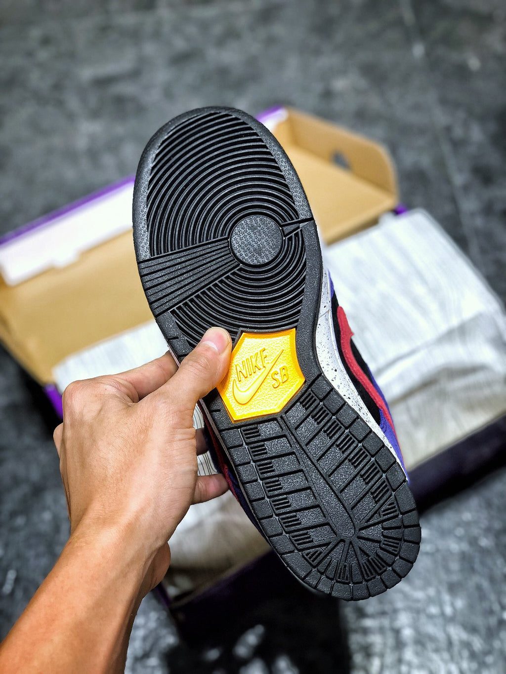 Nike SB Dunk Low ACG Terra