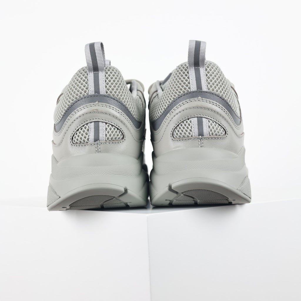 Dior B22 "Cool Grey"