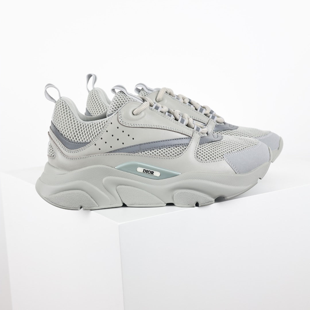 Dior B22 "Cool Grey"