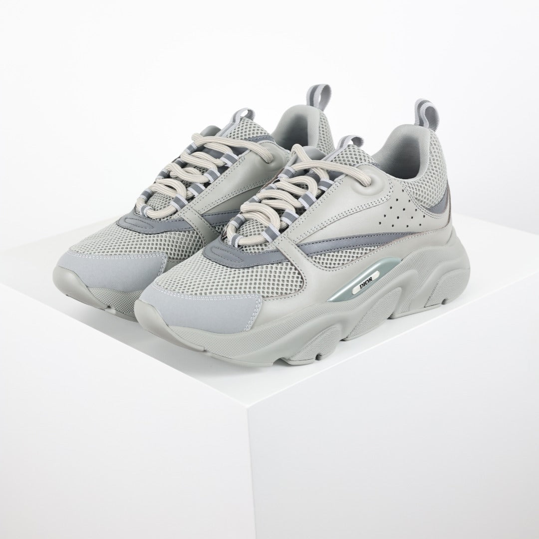 Dior B22 "Cool Grey"
