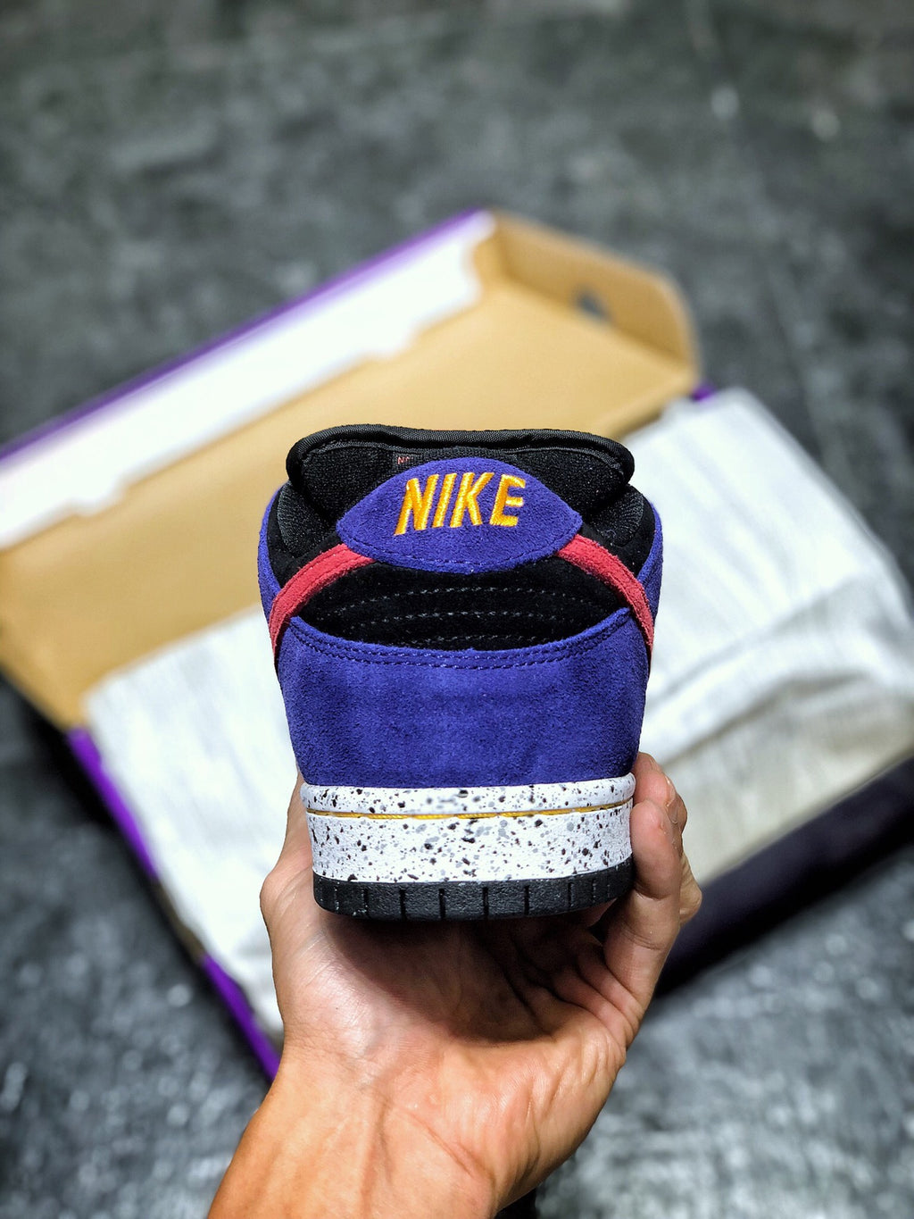 Nike SB Dunk Low ACG Terra