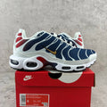 Nike Air Max Plus (TN) "USA Gradient"
